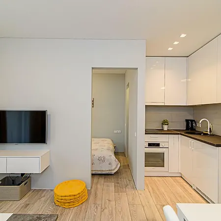 Near The Siemens Arena By Urban Rent * Βίλνιους